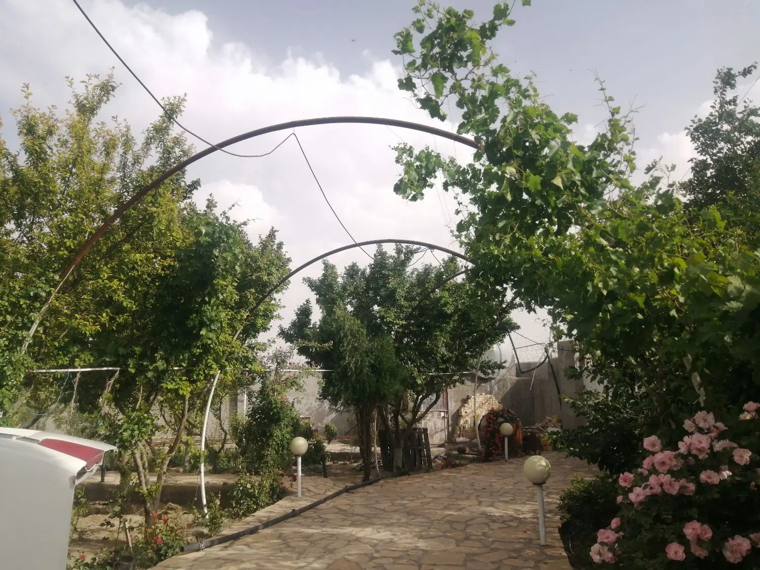 تصویر 4