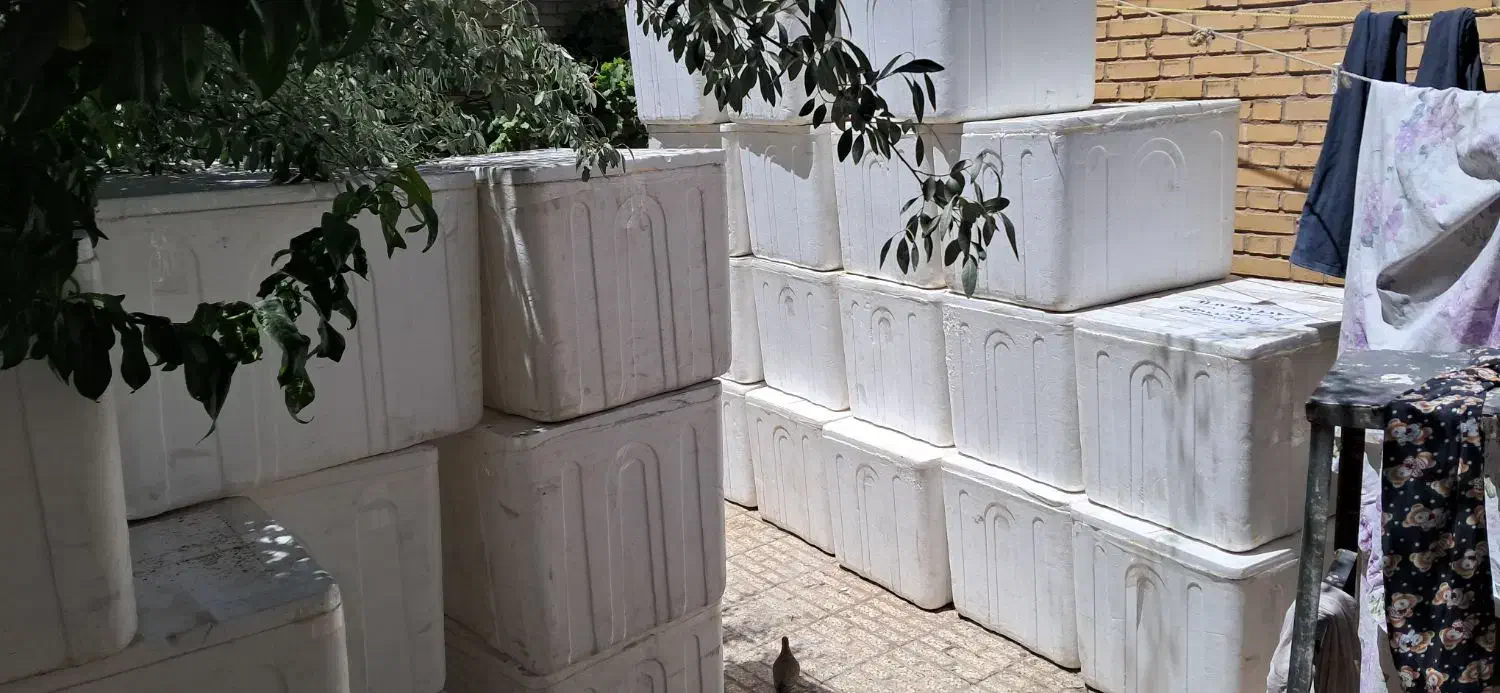 آکاسیف ویخدان|ظروف نگهدارنده، پلاستیکی، یک‌بارمصرف|مشهد, بلال|دیوار