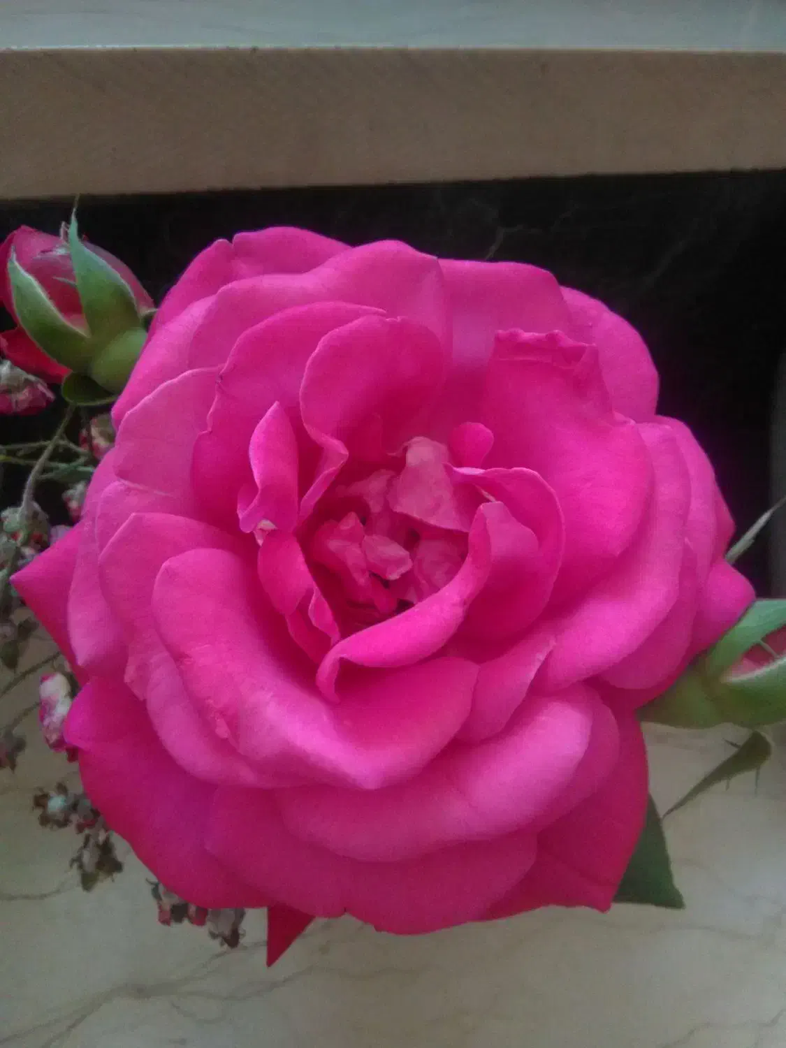 آژانس گلستان|خدمات حمل و نقل|سنقر, |دیوار