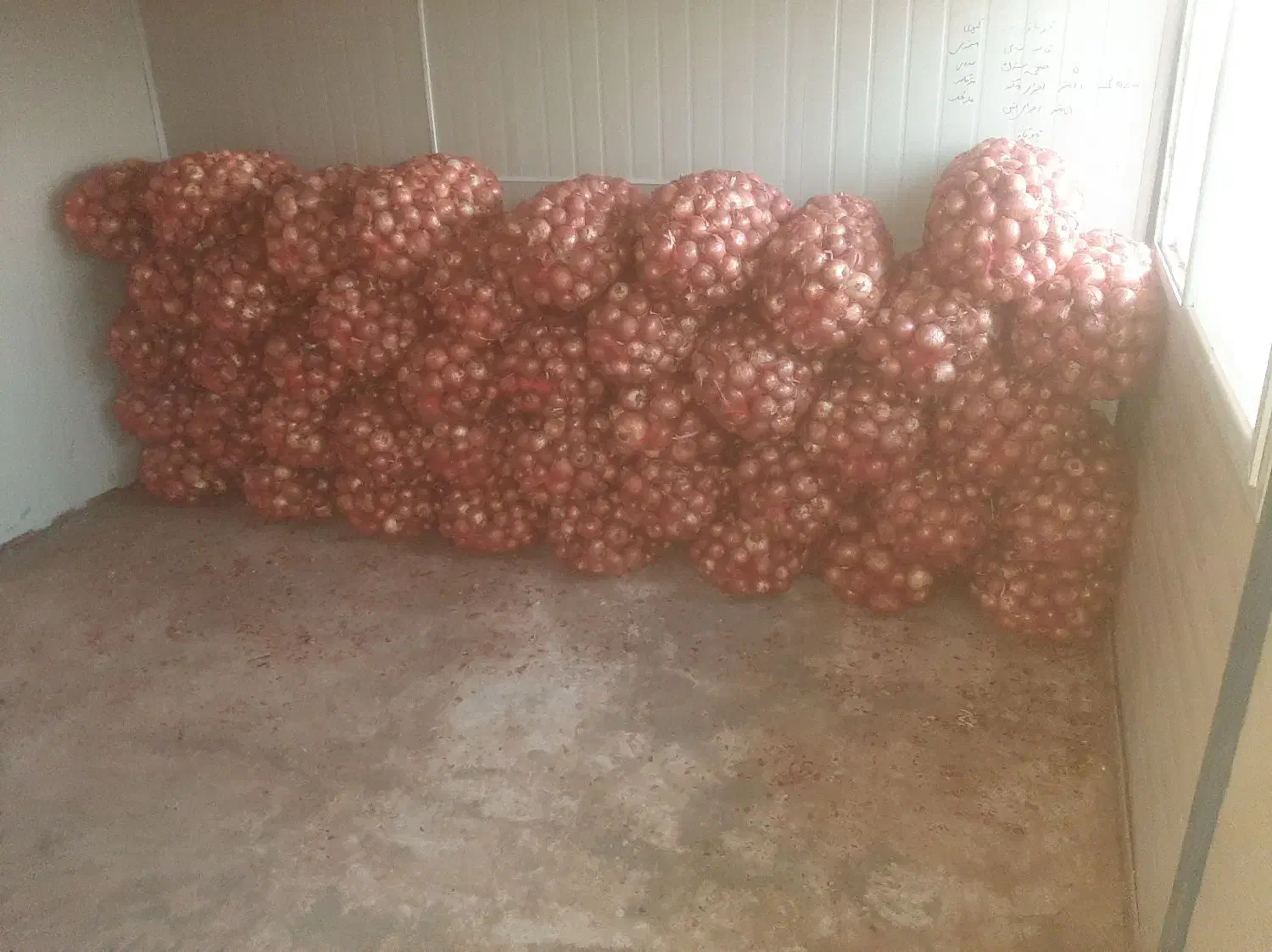 پیاز|عمده‌فروشی|زنجانرود, |دیوار