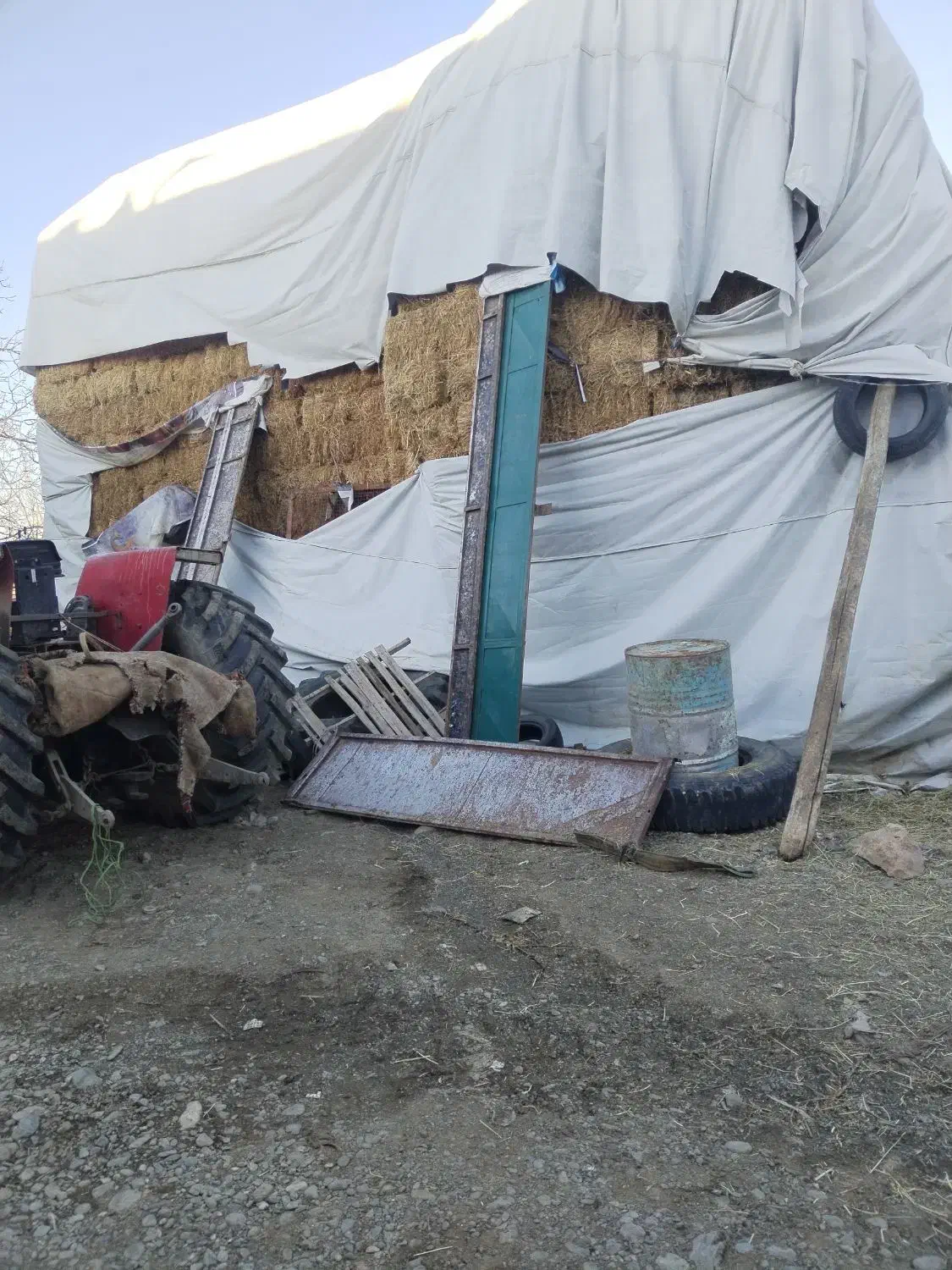 یونجه|خدمات باغبانی و درختکاری|نالوس, |دیوار