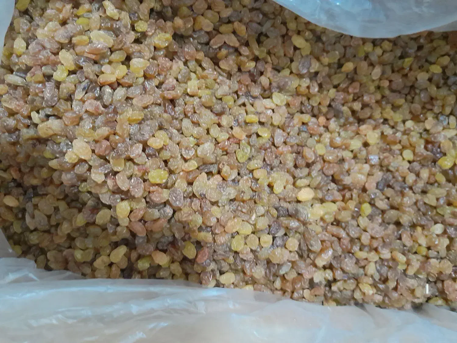 کشمش درجه ۱و۲|خوردنی و آشامیدنی|اهواز, نادری|دیوار