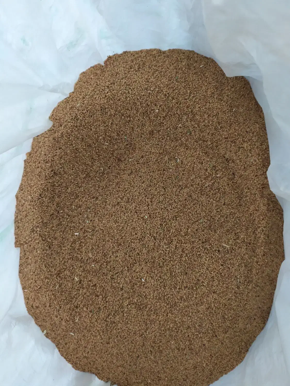 بذر یونجه|خدمات باغبانی و درختکاری|محمدبار, |دیوار