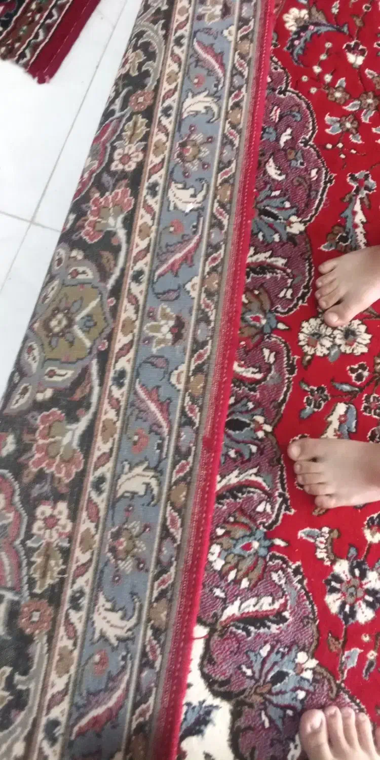 به فرشام نمیخوره|فرش|تربتحیدریه, فتح المبین|دیوار