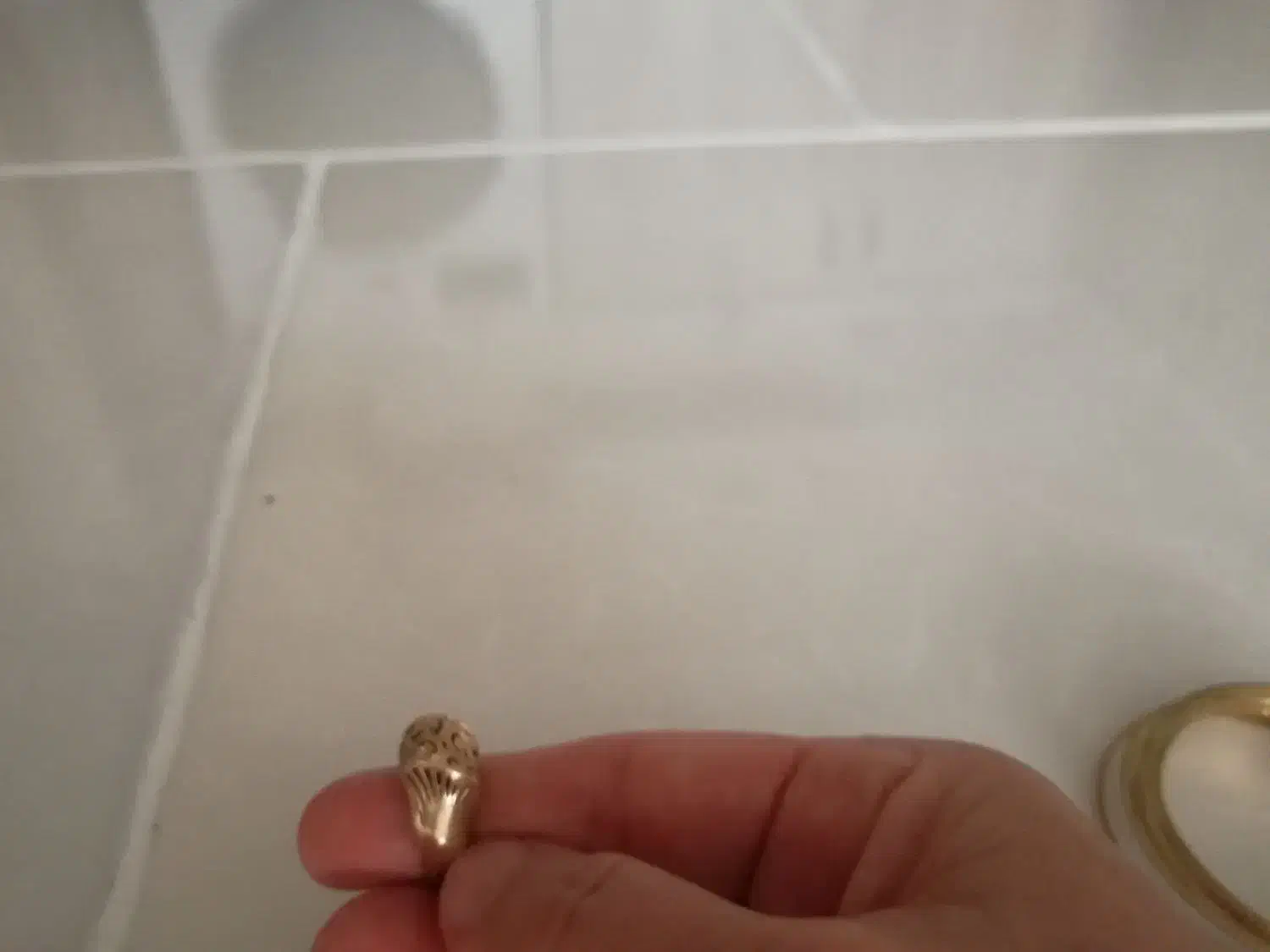 بدلیجات|بدلیجات|سنندج, |دیوار