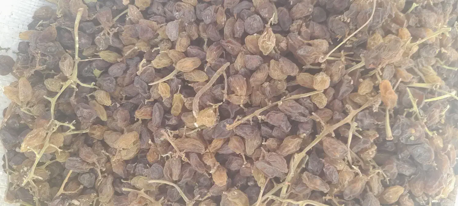 کشمش ابگیری کیفیت بالا|خوردنی و آشامیدنی|نیشابور, ابراهیم ادهم|دیوار