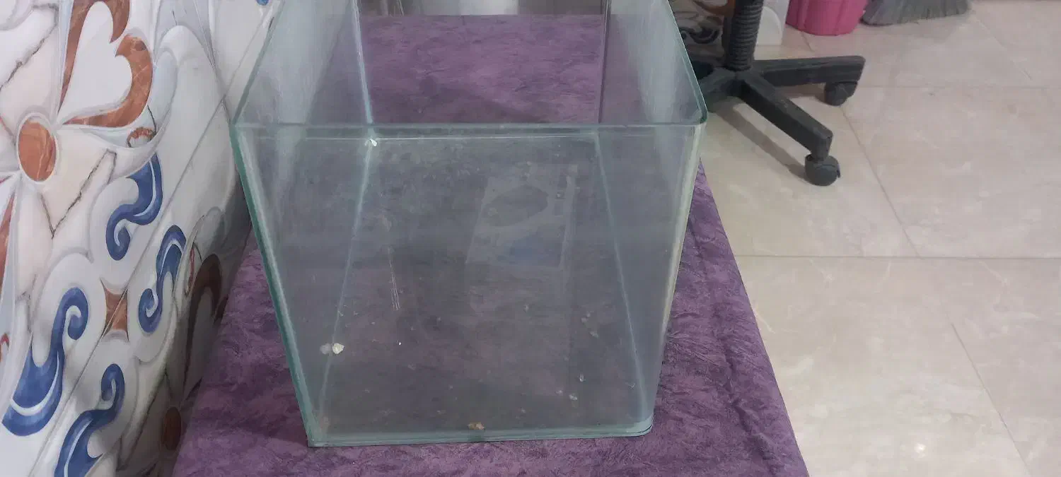 اکواریوم|ماهی|تربتحیدریه, فرمانداری|دیوار