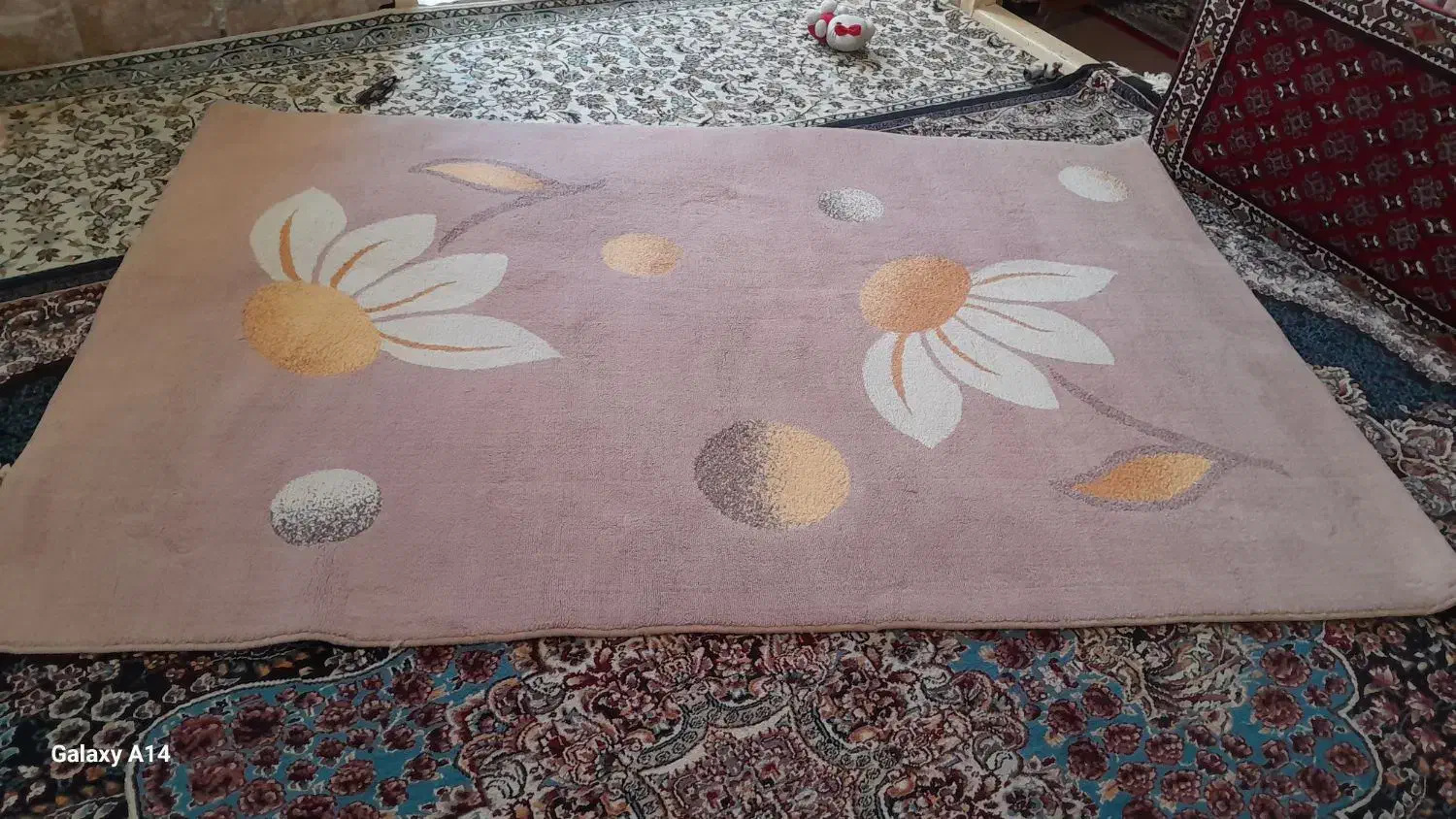 گلیم|گلیم، جاجیم، گبه|تایباد, |دیوار