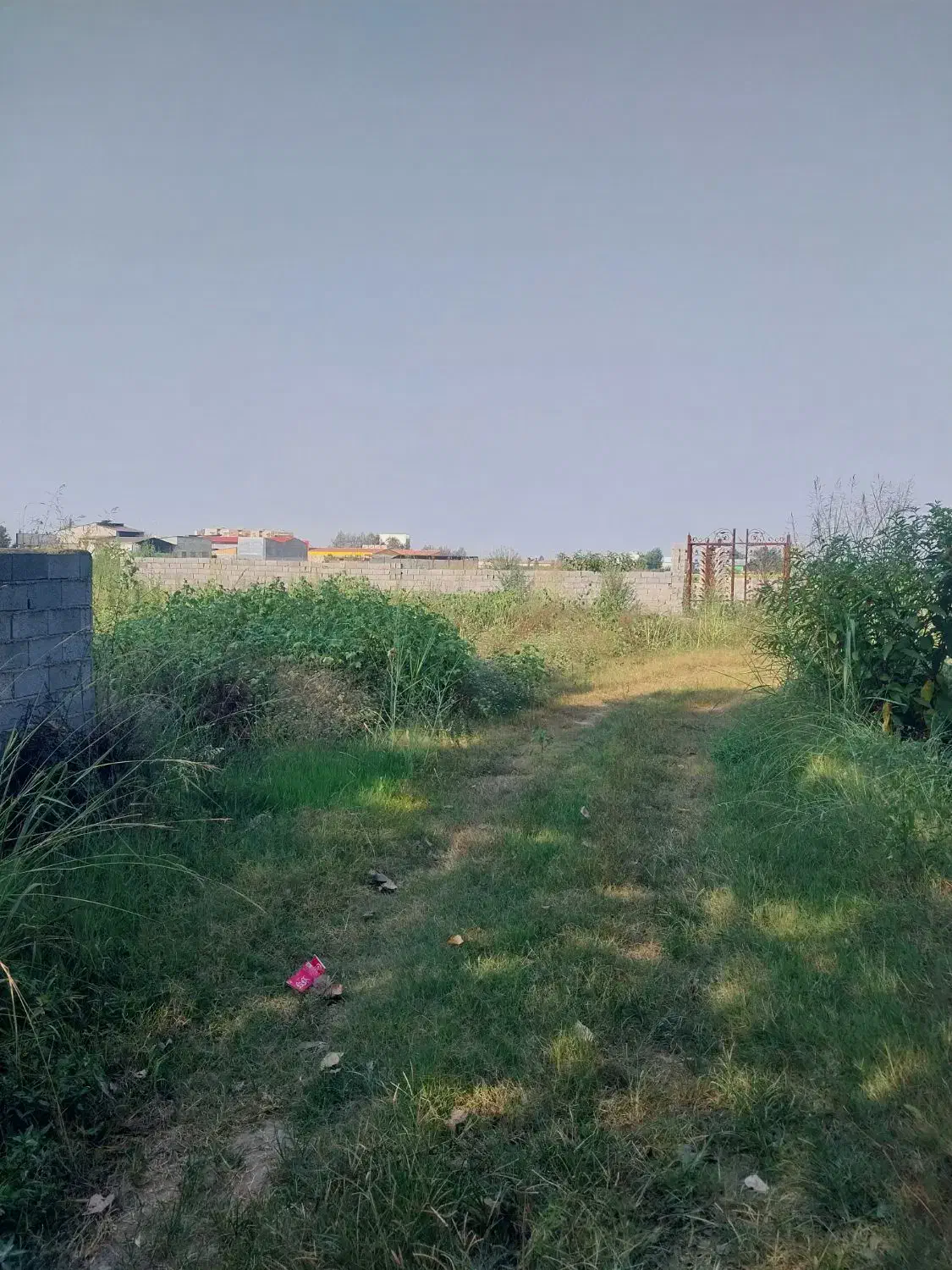 فروش فوری زمین  باغی|فروش زمین و ملک کلنگی|دابودشت, |دیوار