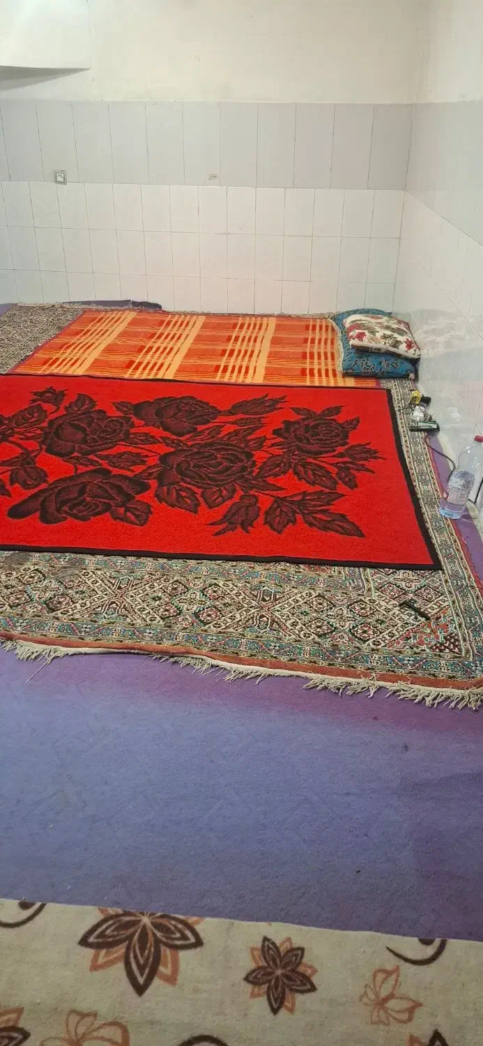 خانه اجاره ای روزانه هفتگی ماهانه|اجارهٔ کوتاه‌مدت آپارتمان و سوئیت|یاسوج, |دیوار