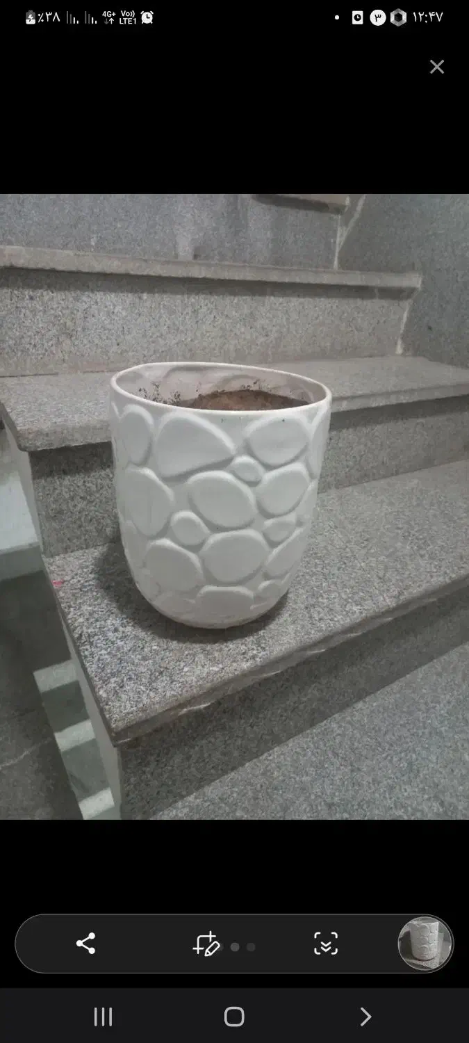 گلدان سفالی|صنایع دستی و سایر لوازم تزئینی|مشهد, کوی سیدی|دیوار