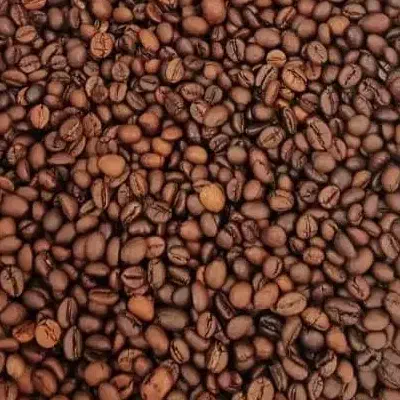 پخش قهوه رُستیکا|خوردنی و آشامیدنی|اهواز, شهرک اکباتان|دیوار