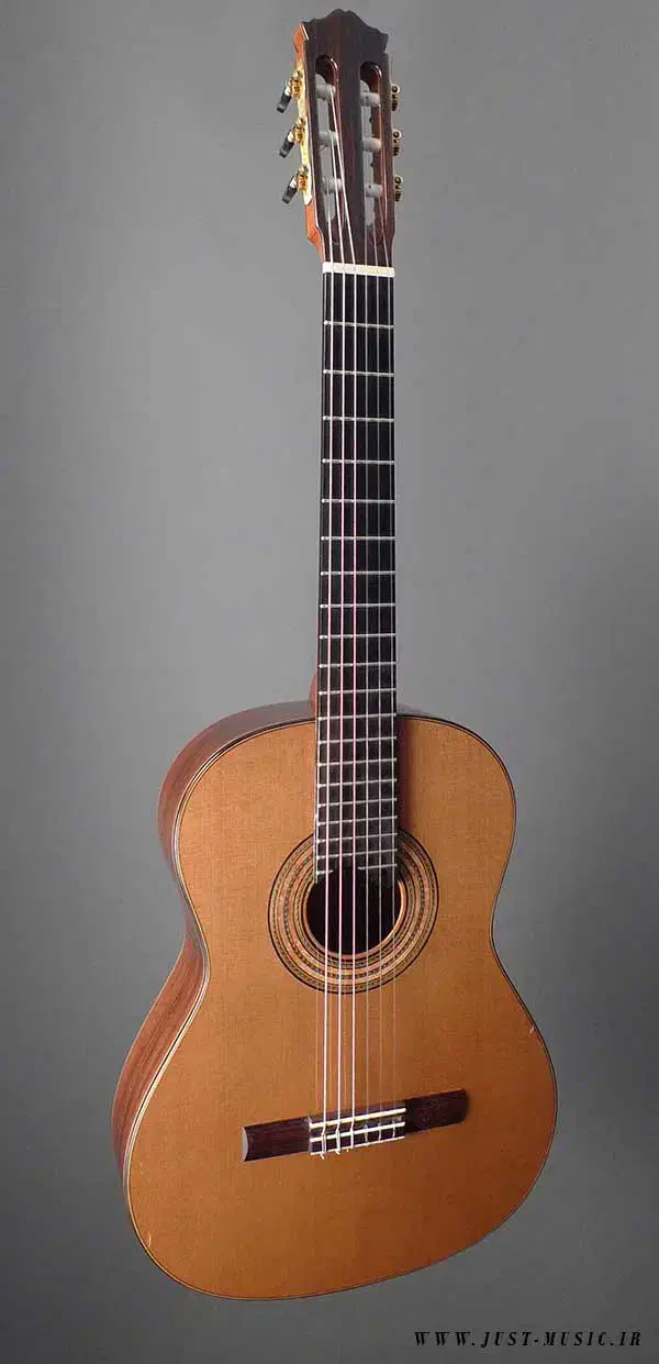 classic pop گیتار|گیتار، بیس، امپلیفایر|مشهد, آزادشهر|دیوار