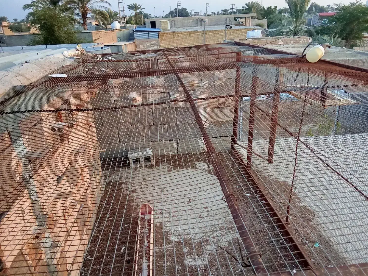 قفس کبوتر|لوازم جانبی حیوانات|کنار تخته و کمار, |دیوار