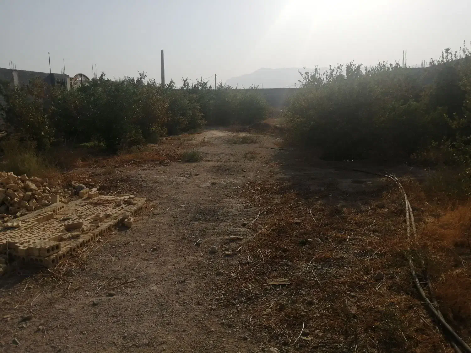 فروش زمین باغشهری مسکونی دهقاعد|فروش زمین و ملک کلنگی|برازجان, |دیوار