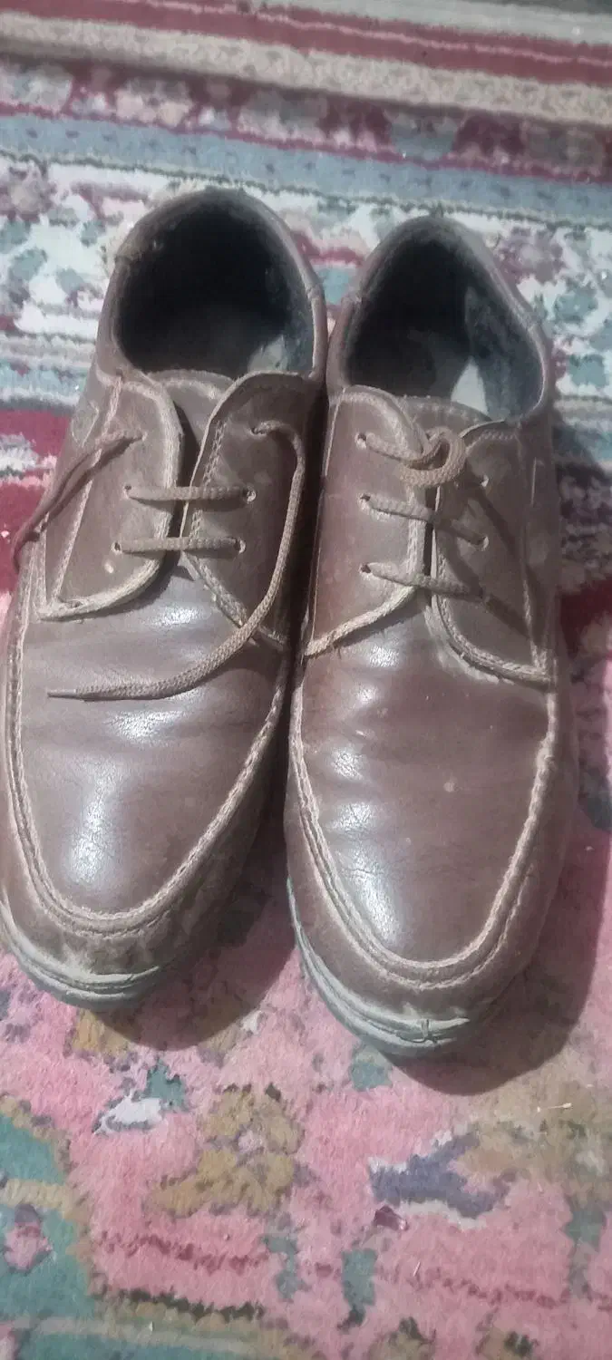 دو جفت کفش مردانه یک جفت زنانه|کیف، کفش، کمربند|تربت‌حیدریه, داروپخش|دیوار