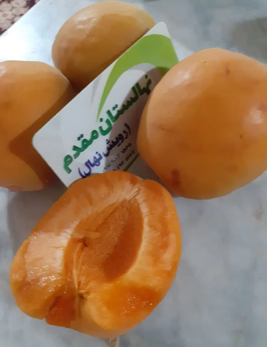 پیش فروش پاییزه نهال در نهالستان رویش نهال آغاز شد|خدمات باغبانی و درختکاری|کرمانشاه, |دیوار