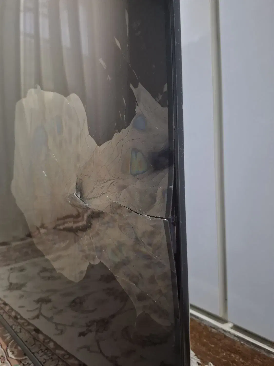 تلویزون ایکس ویژن ۵۵ اینج|تلویزیون و پروژکتور|اهواز, کوی مهدیس|دیوار