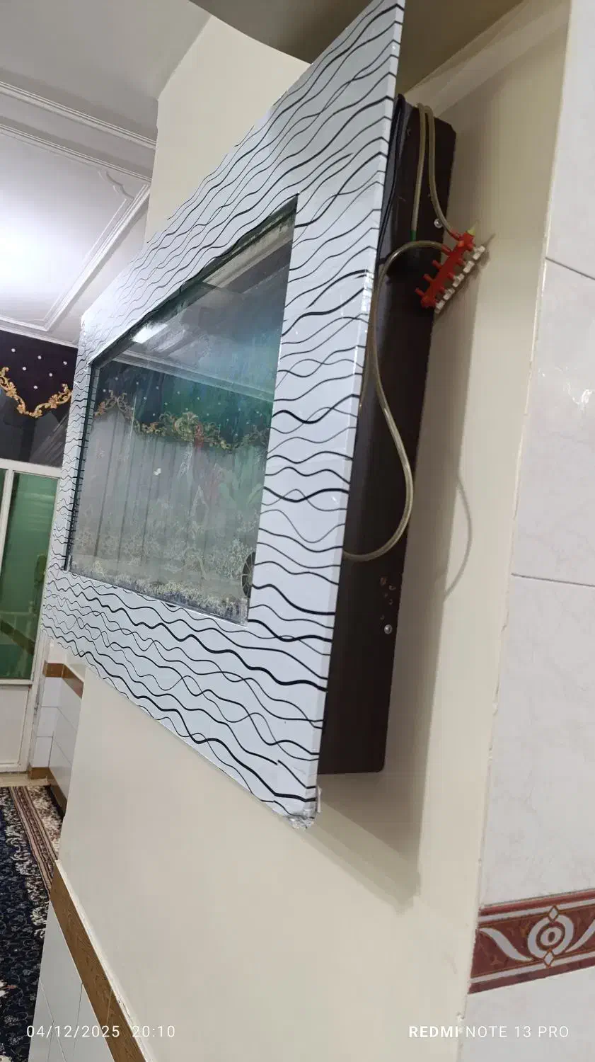 آکواریوم ماهی|ماهی|بروجن, |دیوار