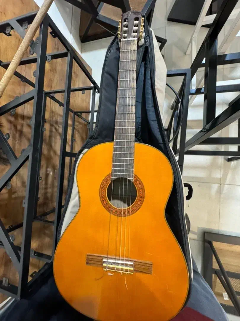 گیتار یاماها c70|گیتار، بیس، امپلیفایر|کاشمر, |دیوار