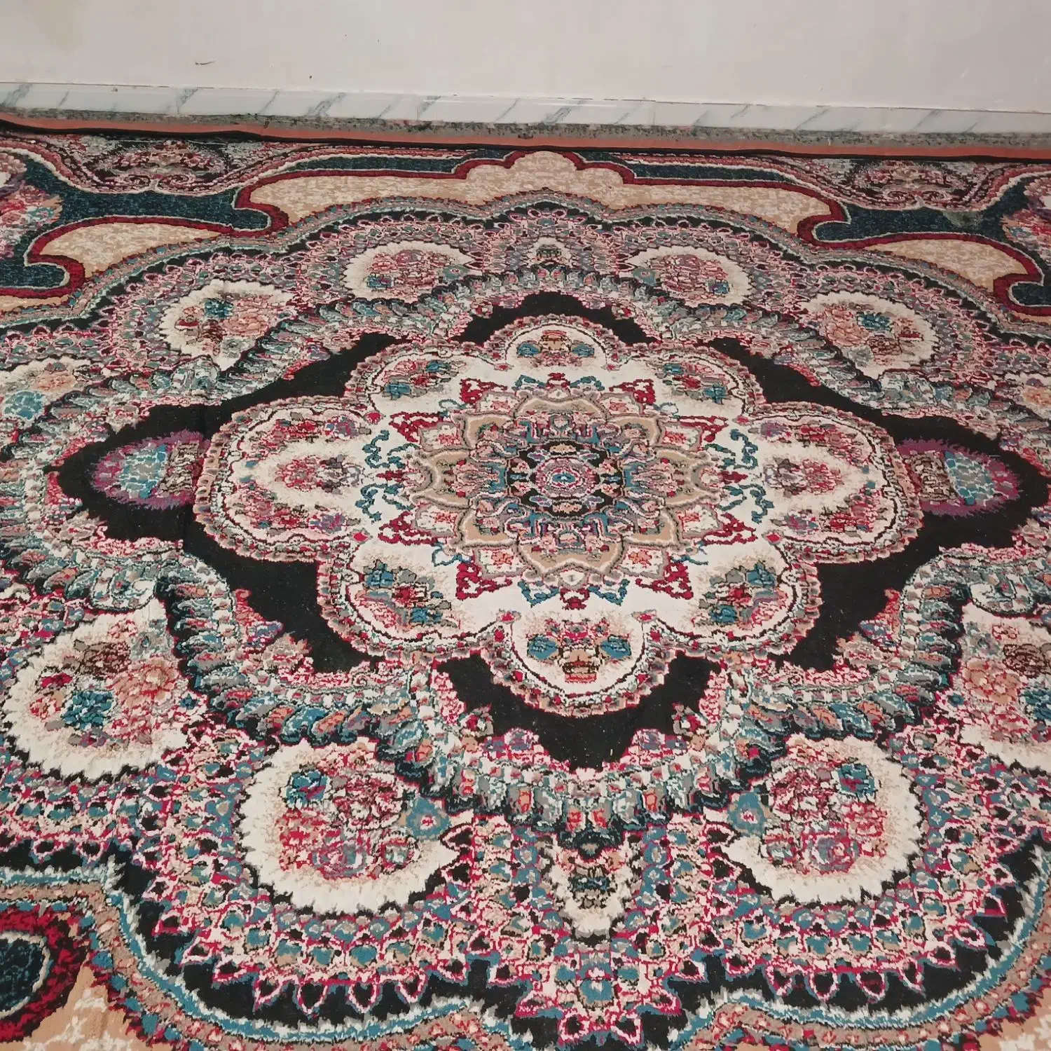 فرش گلیم|گلیم، جاجیم، گبه|بندرعباس, |دیوار