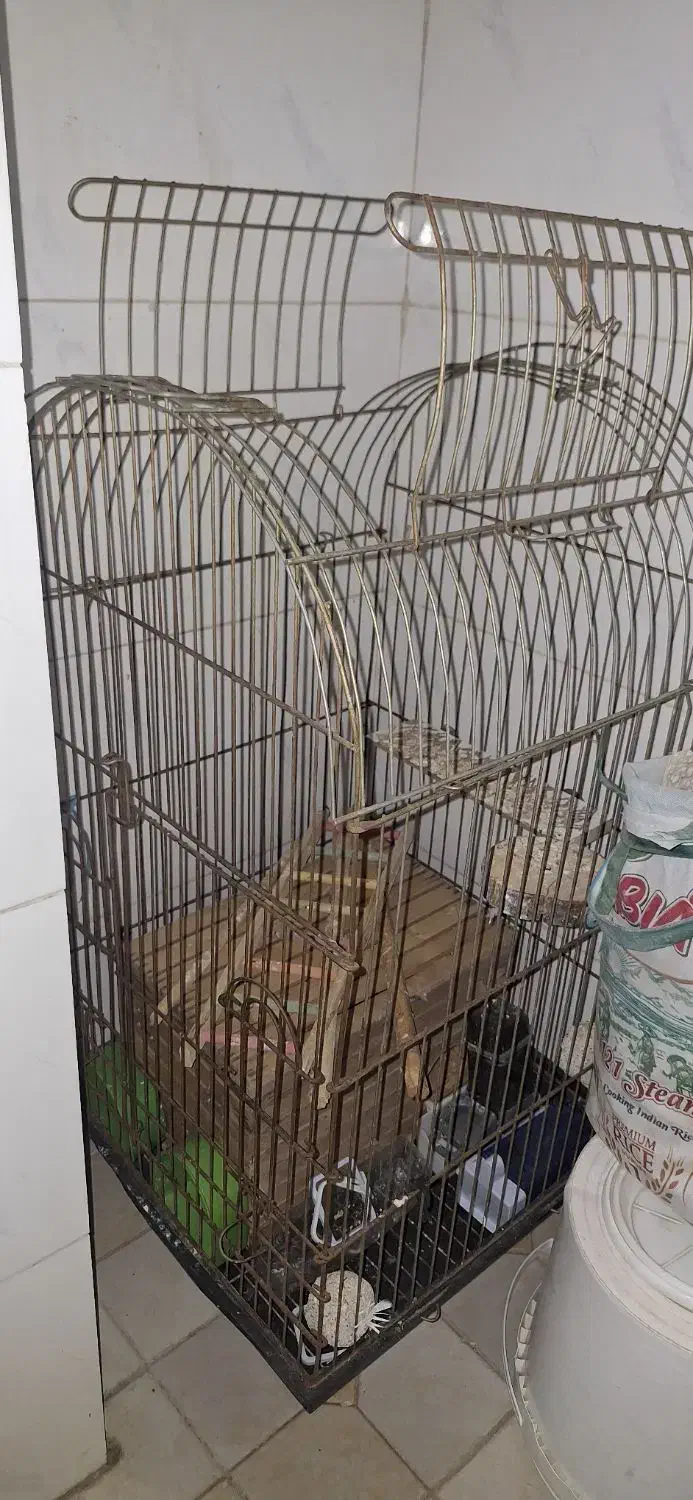 قفس بزرگ کاسکویی|لوازم جانبی حیوانات|بندرعباس, |دیوار