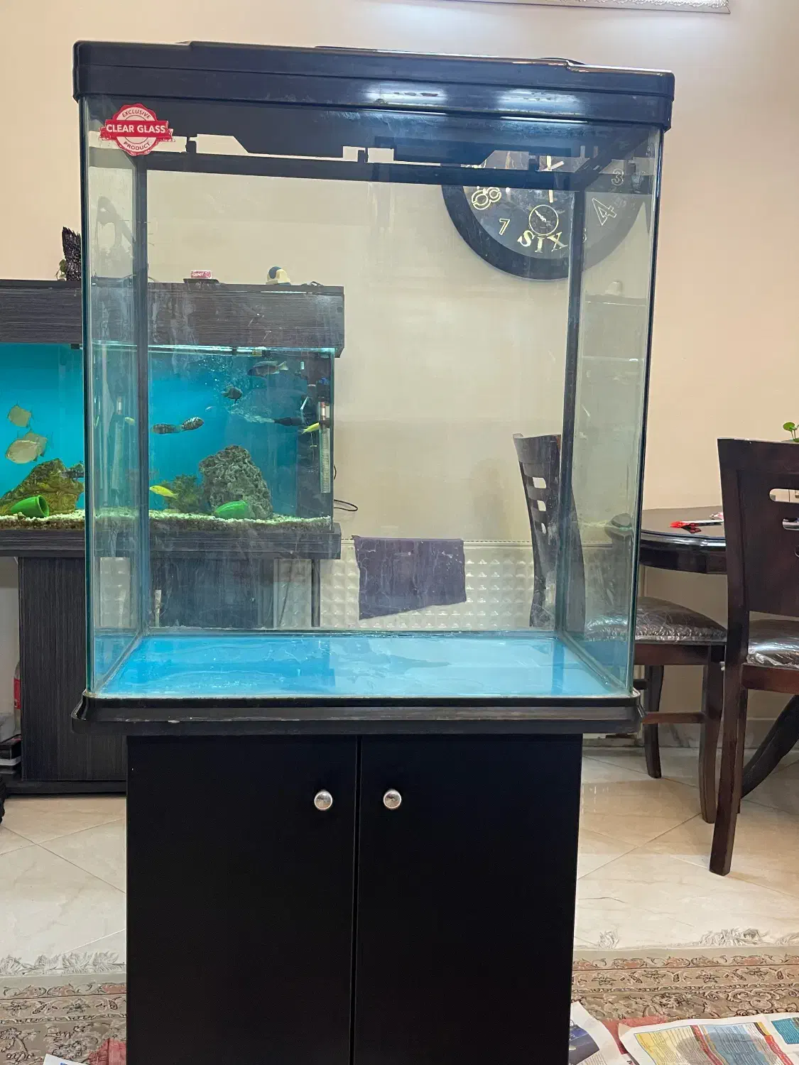 اکوارییوم|ماهی|تهران, اسفندیاری|دیوار