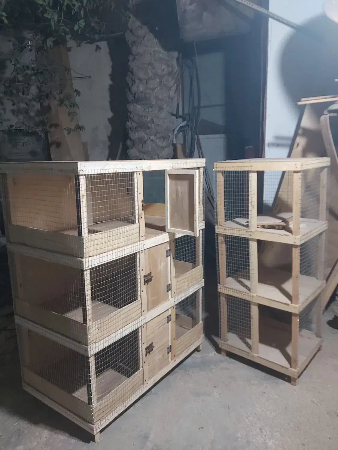 لونه عروس هلندی|لوازم جانبی حیوانات|بندرعباس, |دیوار