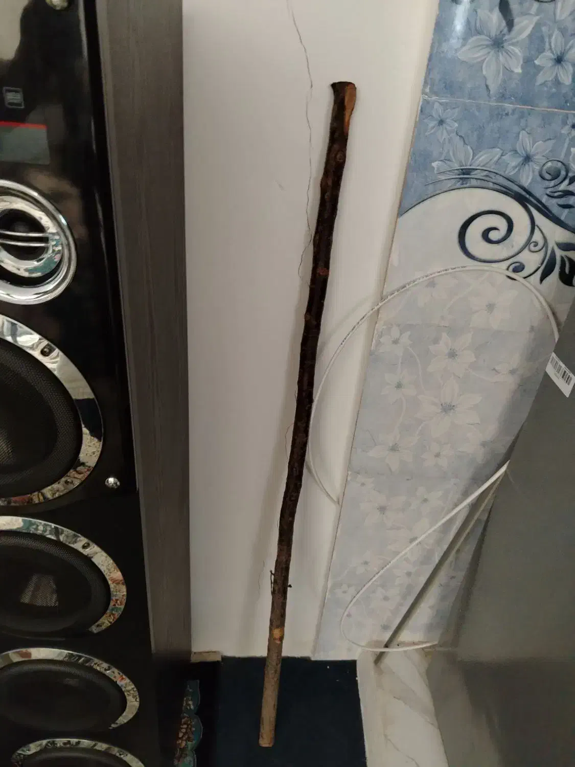 چوب دستی پاییزه|کوهنوردی و کمپینگ|دشتابی, |دیوار