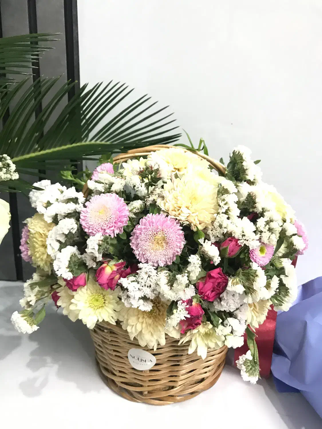 فروشگل دست دوم خارجی|گل و گیاه طبیعی|تهران, منیریه|دیوار