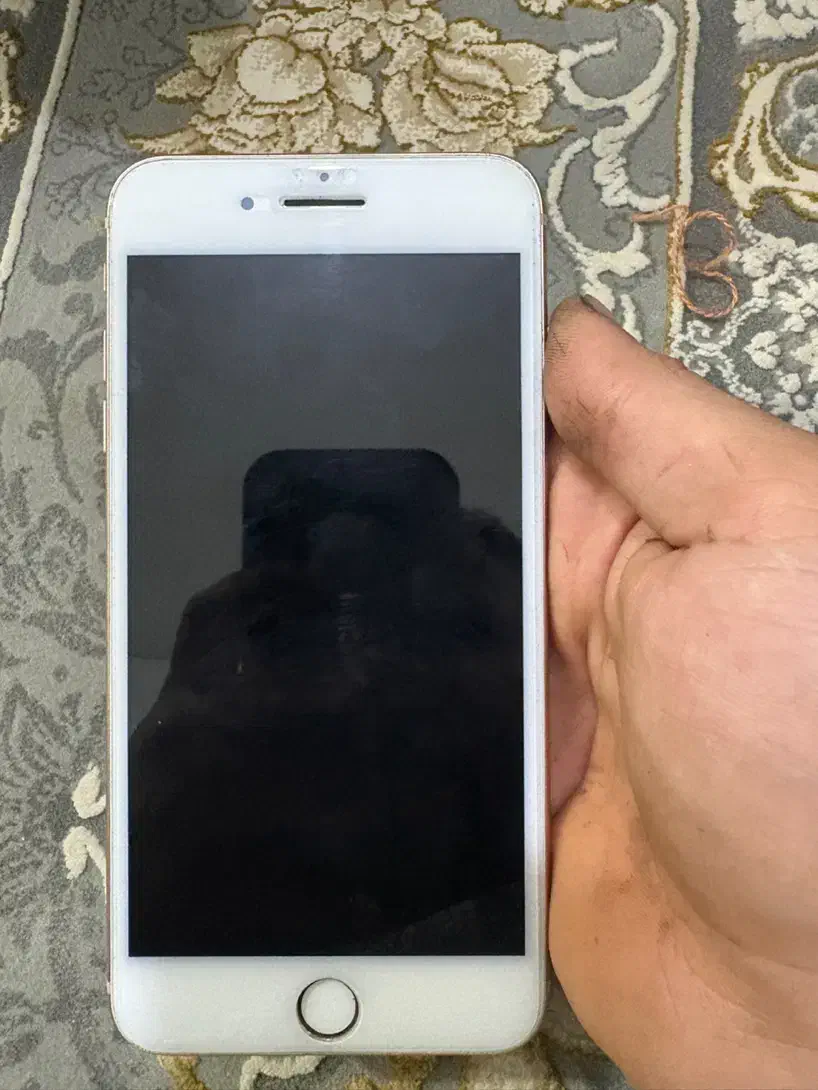 آیفون 8 plus|موبایل|بوشهر, |دیوار