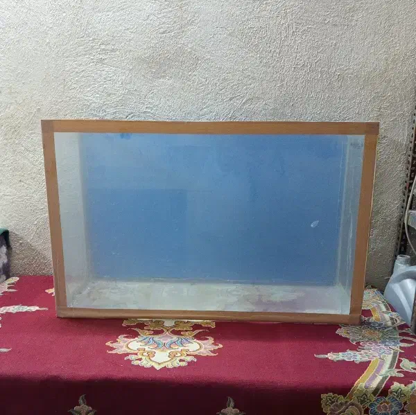 اکواریوم ب قیمت حرااج|ماهی|نهاوند, |دیوار