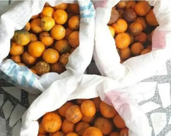 نارنج شمال|خوردنی و آشامیدنی|اسلامشهر, شهرک محمدیه|دیوار