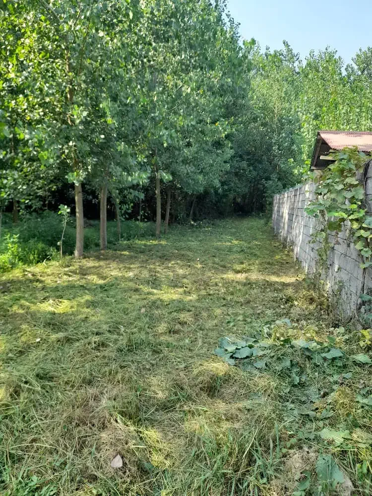 فروش زمین 300متری روستایی درلاهیجان|فروش زمین و ملک کلنگی|رودبنه, |دیوار