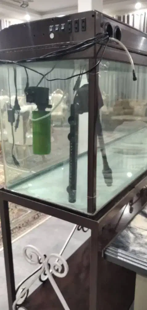 آکواریوم|ماهی|شهریار, بکه|دیوار