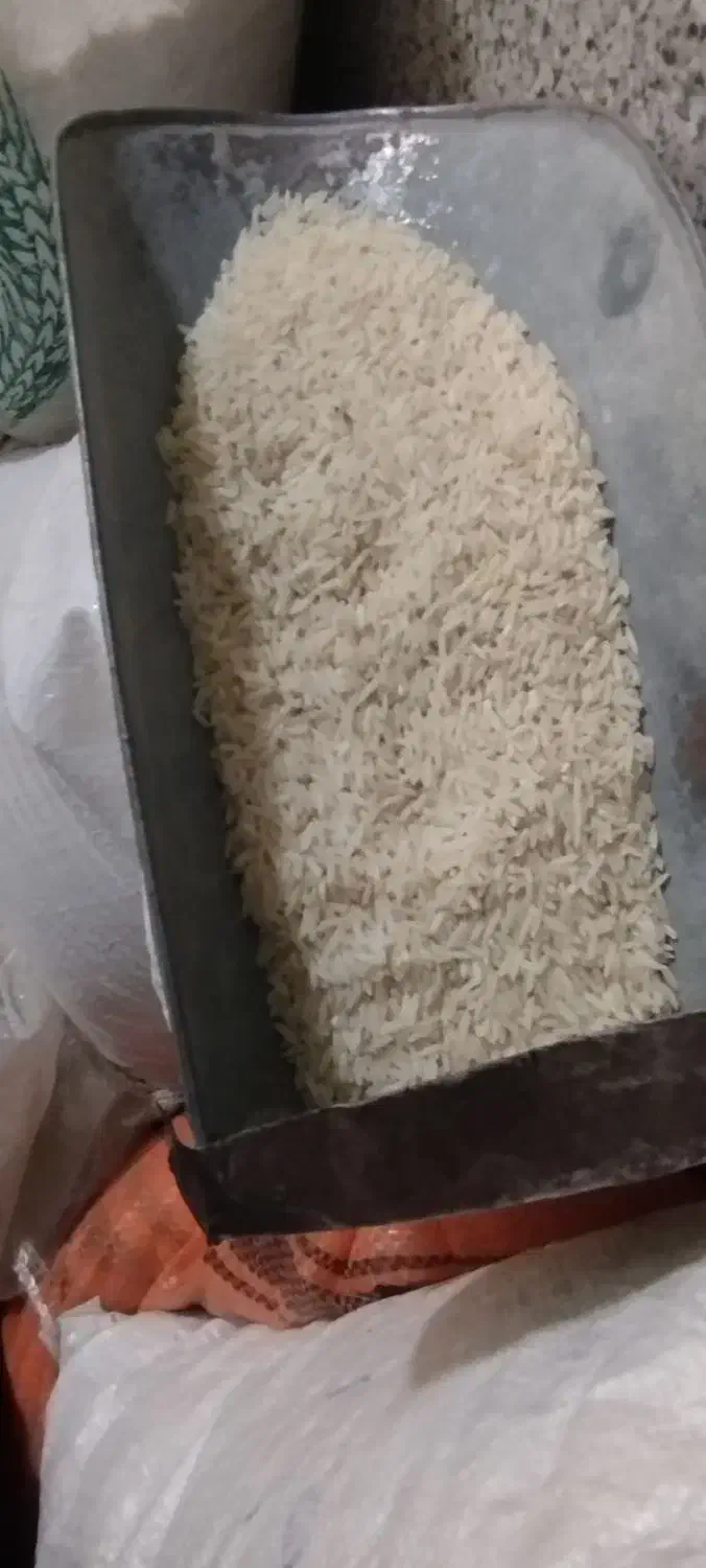 برنج نیم دانه ، لاشه،بلند دانه ایرانی هاشمی|خوردنی و آشامیدنی|مشگین شهر, |دیوار