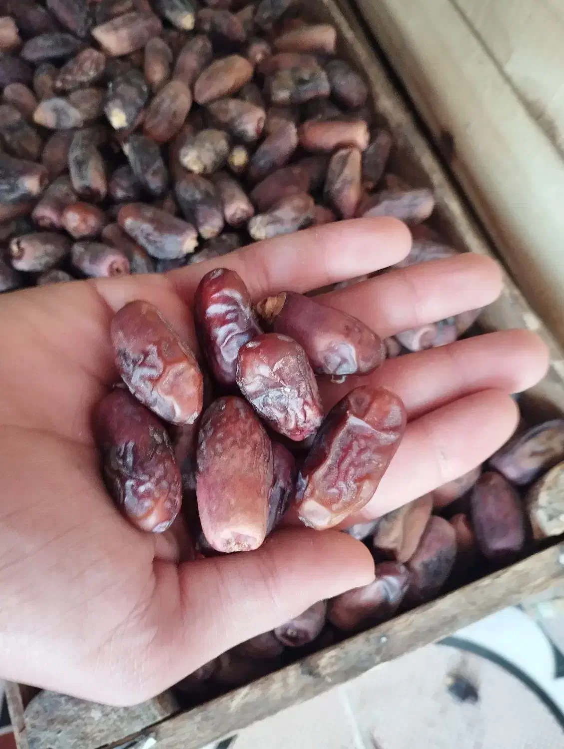خرما  دیری.|خوردنی و آشامیدنی|اهواز, کارون|دیوار