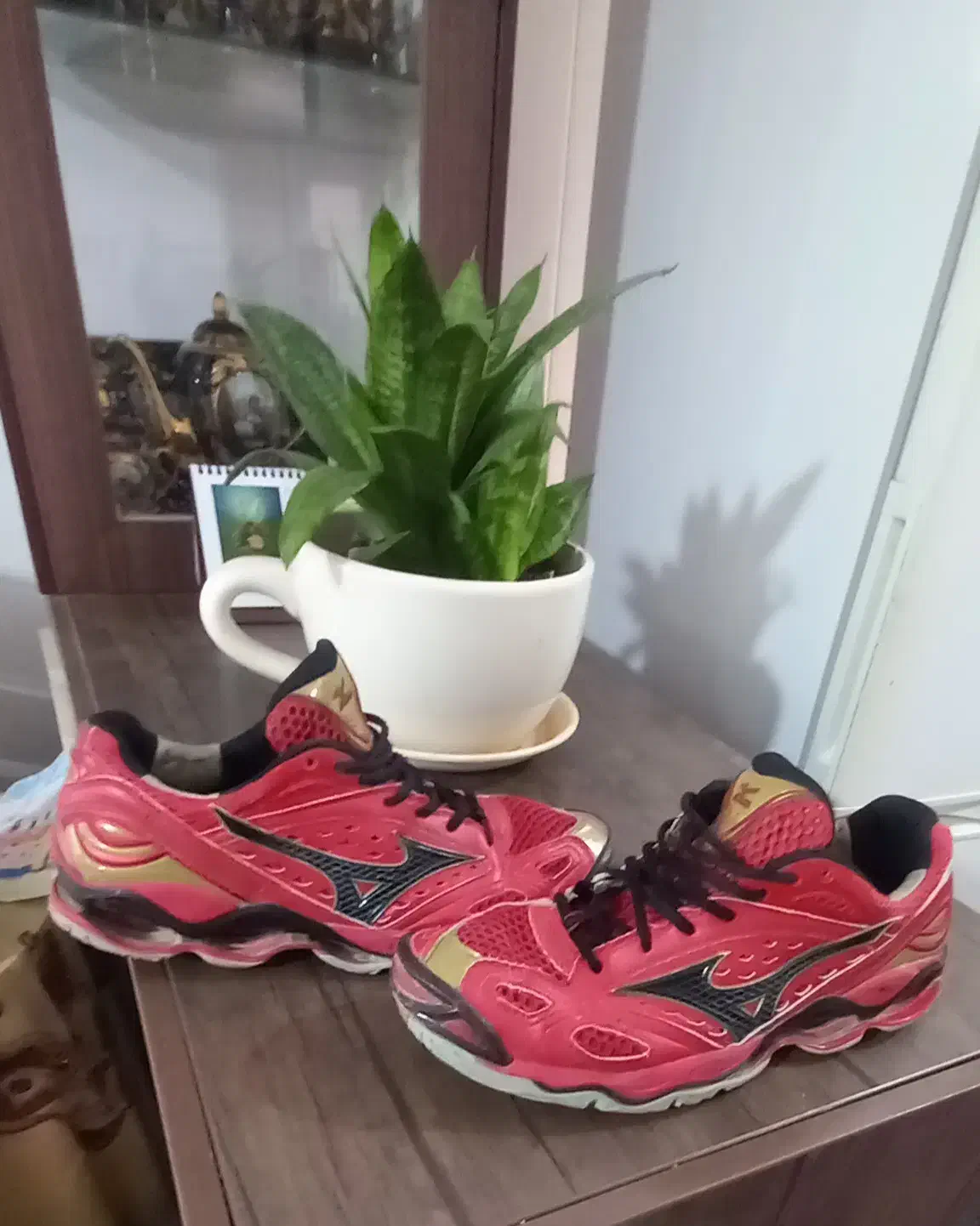 کتونی میزانو اورجینال|کیف، کفش، کمربند|کبودرآهنگ, |دیوار