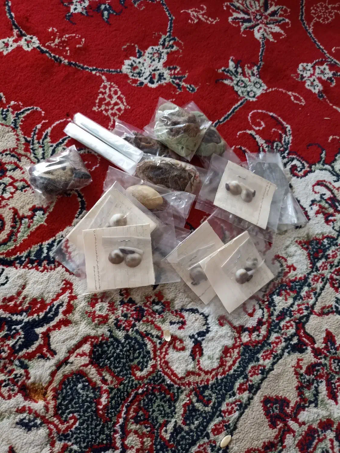 مهره درشت بزرگ|بدلیجات|تهران, تهرانسر مرکزی|دیوار