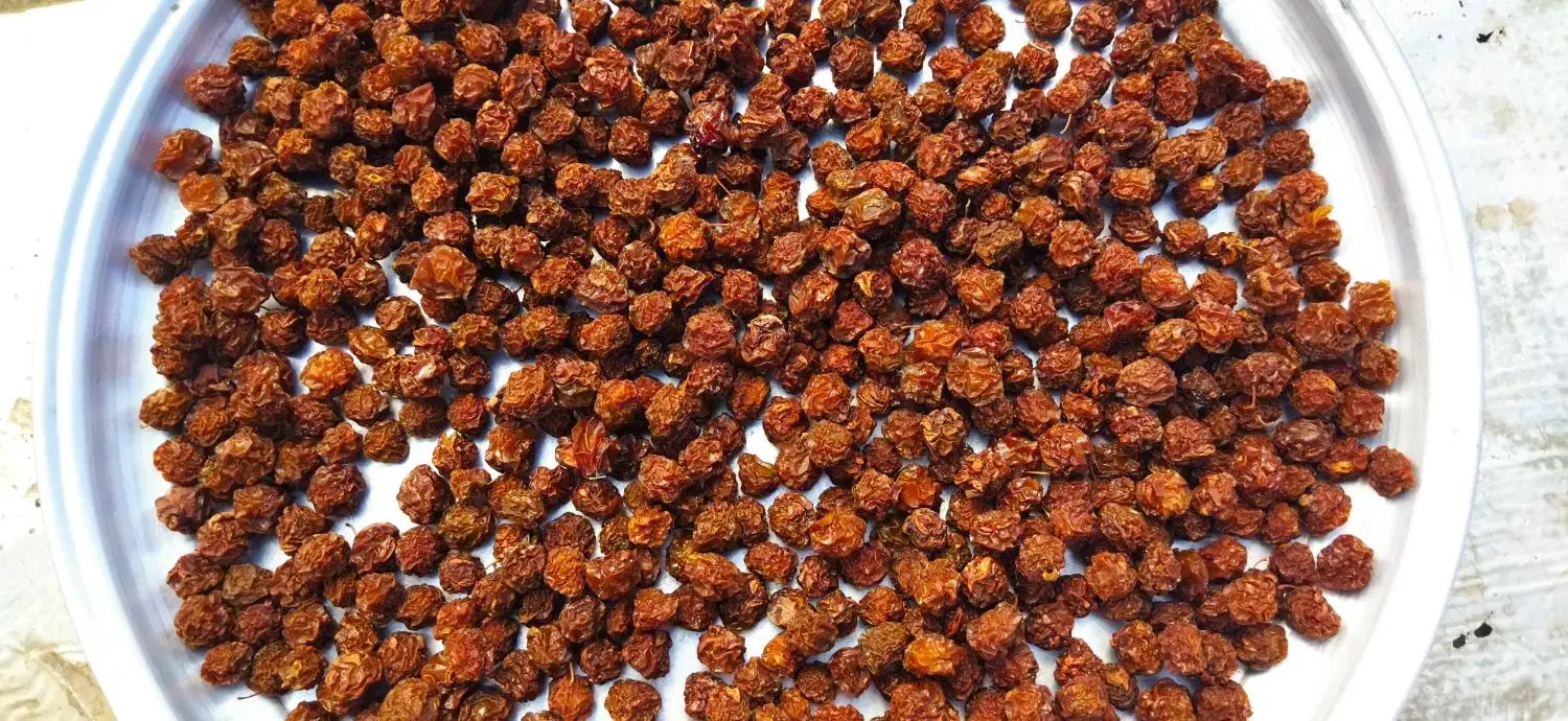 زرد الوی خشک و آلوچه خشک|خوردنی و آشامیدنی|تبریز, |دیوار