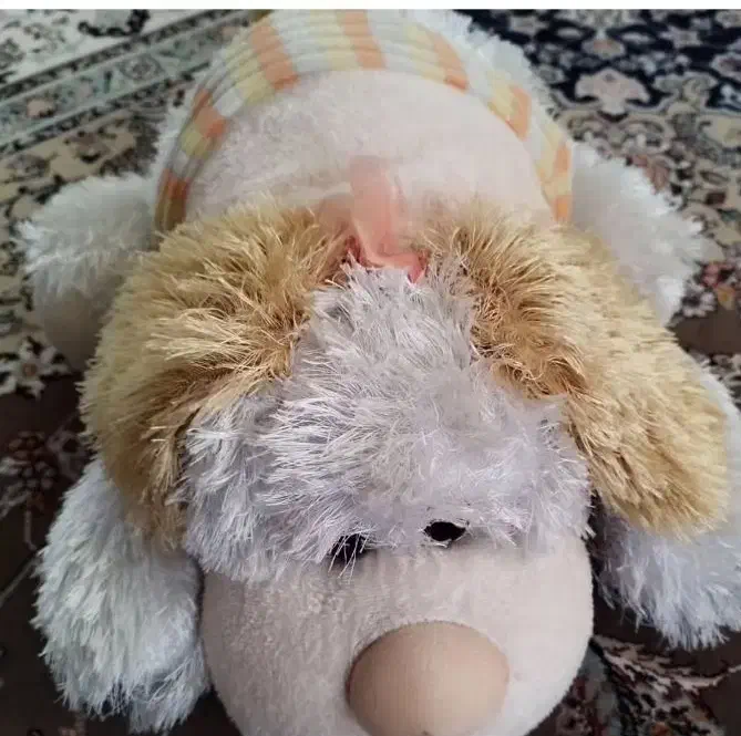 عروسک های زیبا|اسباببازی|بندر انزلی, استادیوم|دیوار