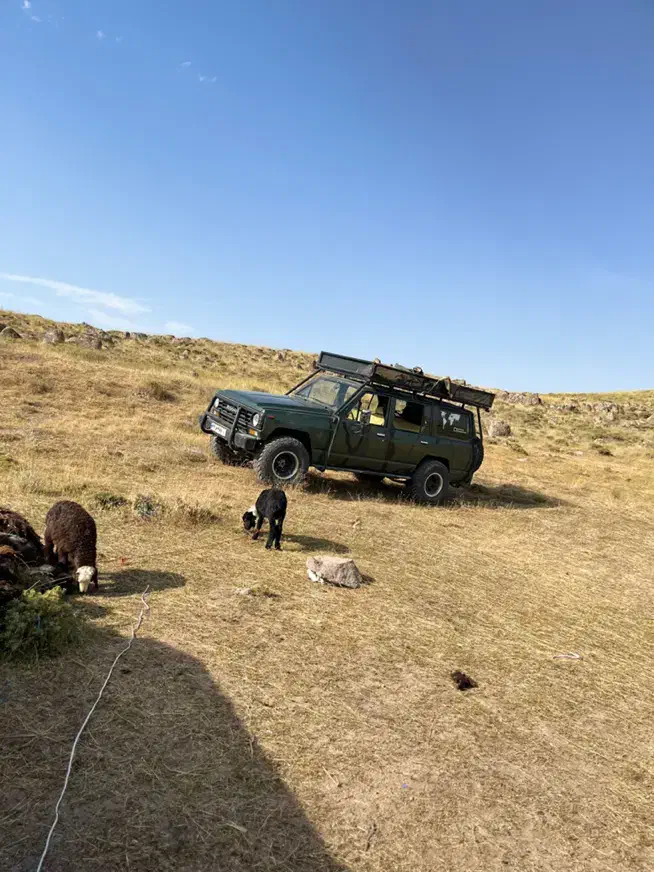 پاترول۷۴|خودرو کلاسیک|نسیم‌شهر, |دیوار