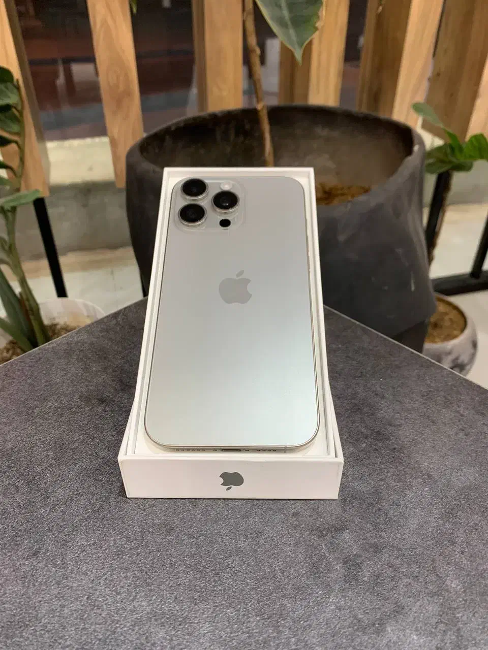 16promax 256|موبایل|یزد, |دیوار