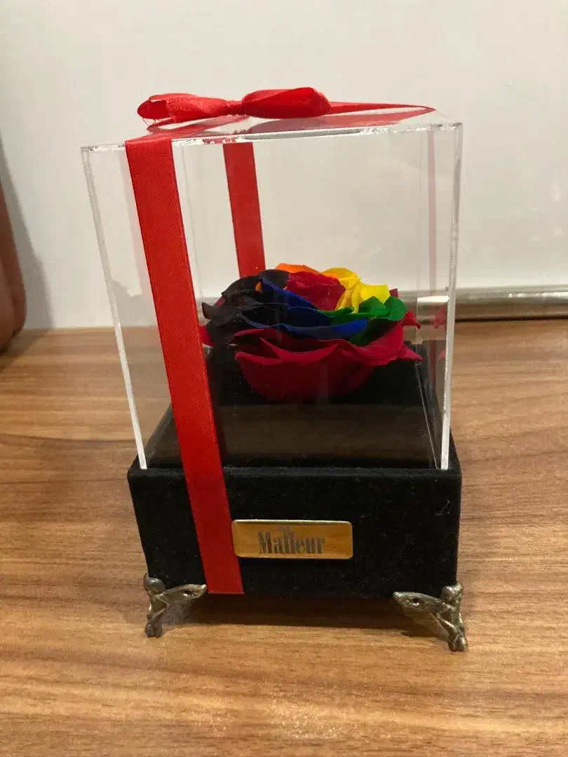 رز جاویدان رنگی و موزیکال از برندمافلر|گل مصنوعی|گلستان (تهران), |دیوار