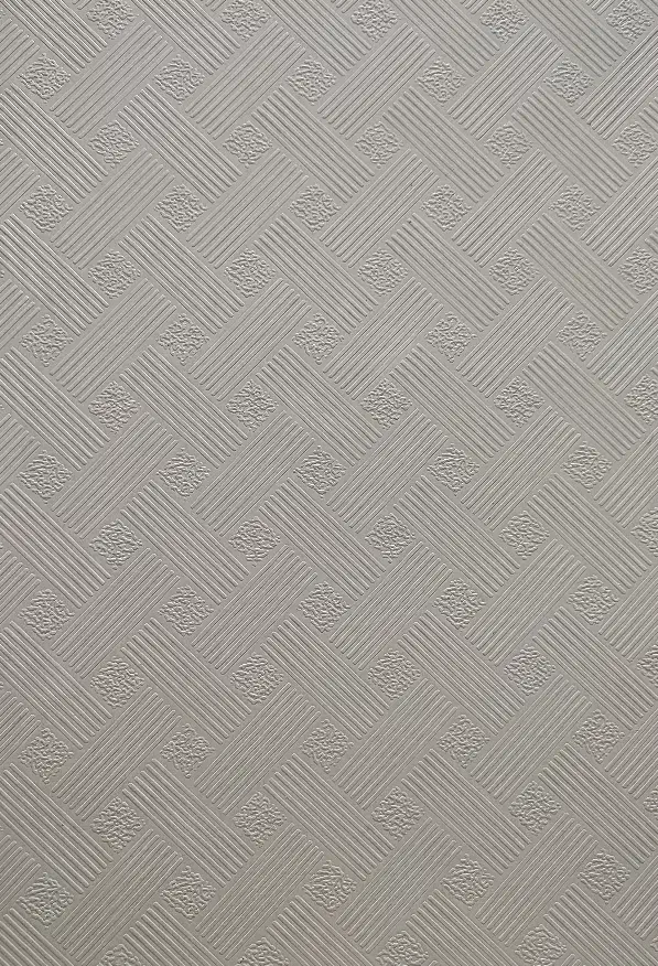 تایل ۶۰در۶۰ سقف کاذب|مصالح و تجهیزات ساختمان|کنگاور, |دیوار