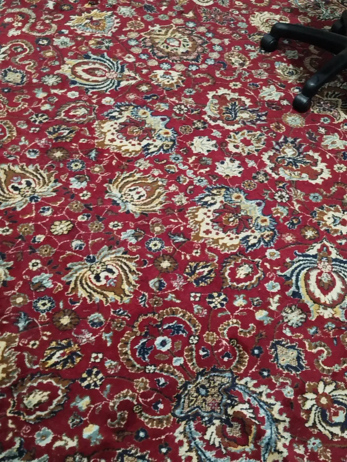 فرش 12متری|فرش|شوط, |دیوار