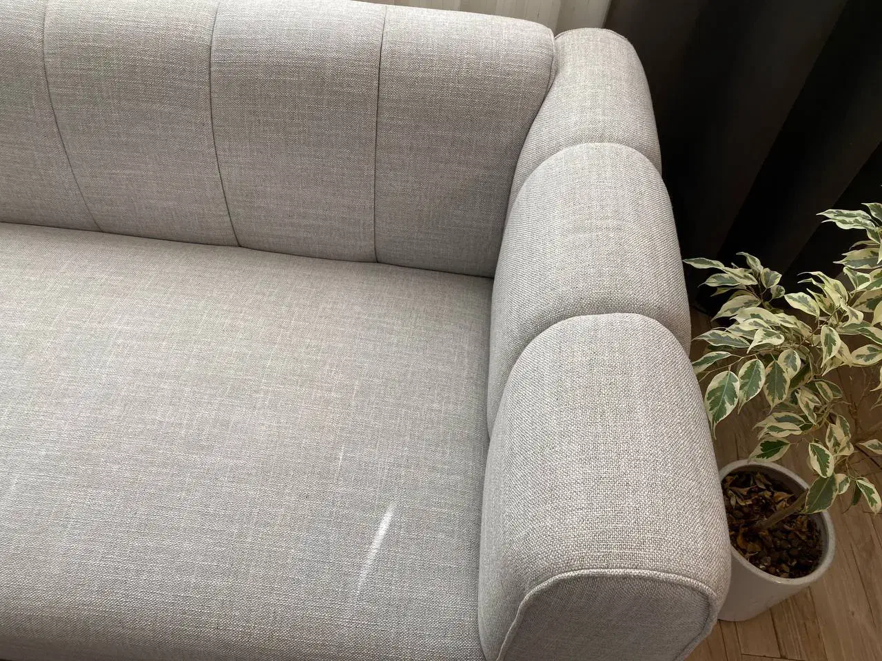 مبل تولیکا|مبلمان خانگی و میز عسلی|مشهد, تربیت (صدف)|دیوار