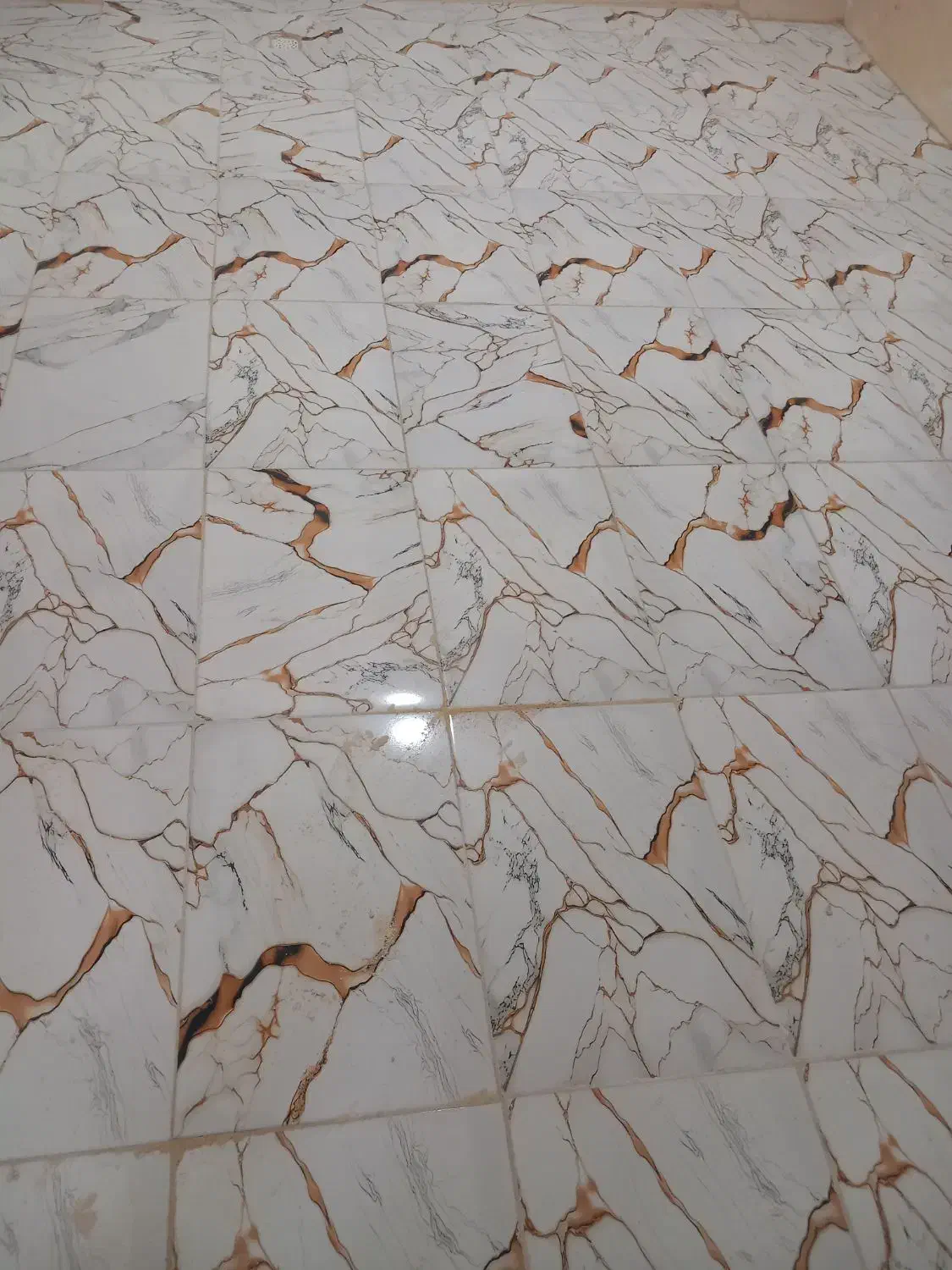 کاشی کار بنا|خدمات پیشه و مهارت|زابل, |دیوار