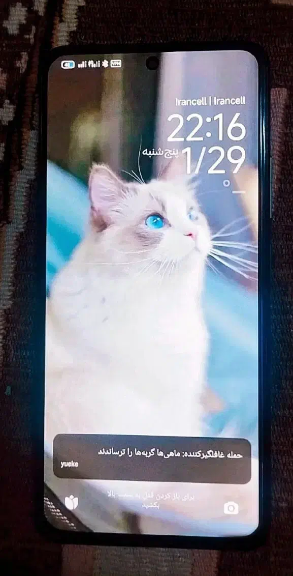 گوشی پکو f3|موبایل|مشهد, شهید بهشتی|دیوار