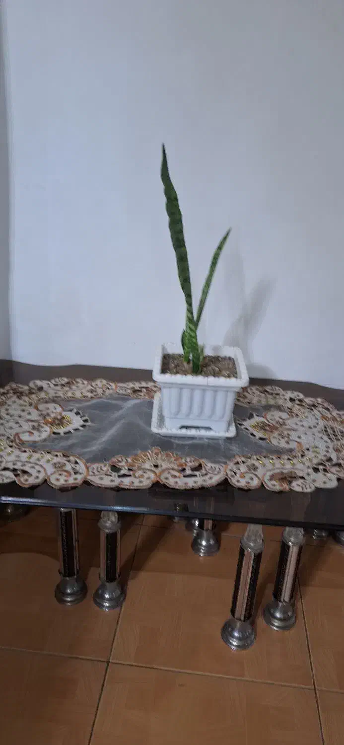 عسلی|مبلمان خانگی و میز عسلی|رشت, حمیدیان|دیوار